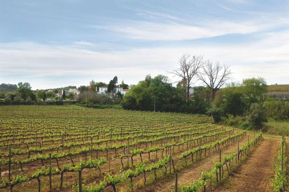 Quinta De Sao Lourenco Anadia Exterior photo