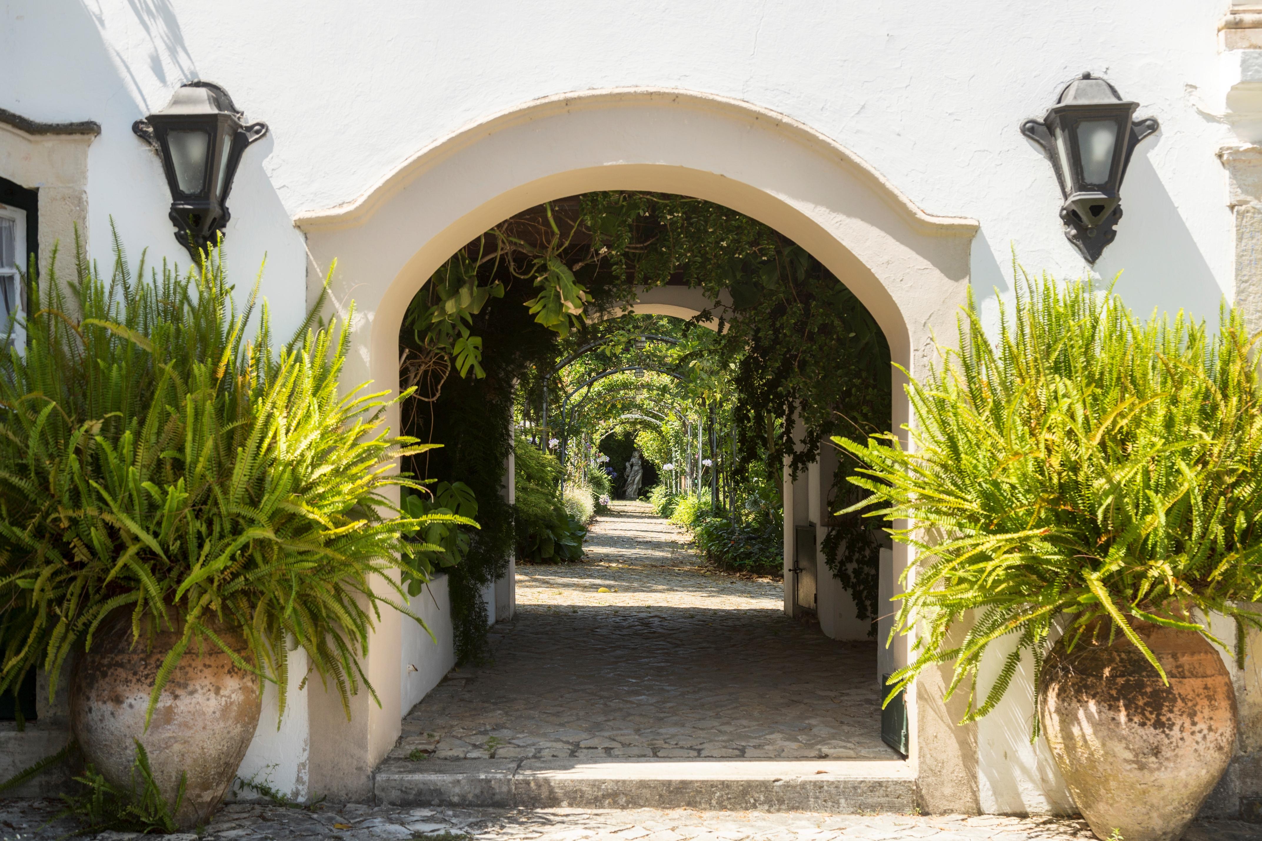 Quinta De Sao Lourenco Anadia Exterior photo