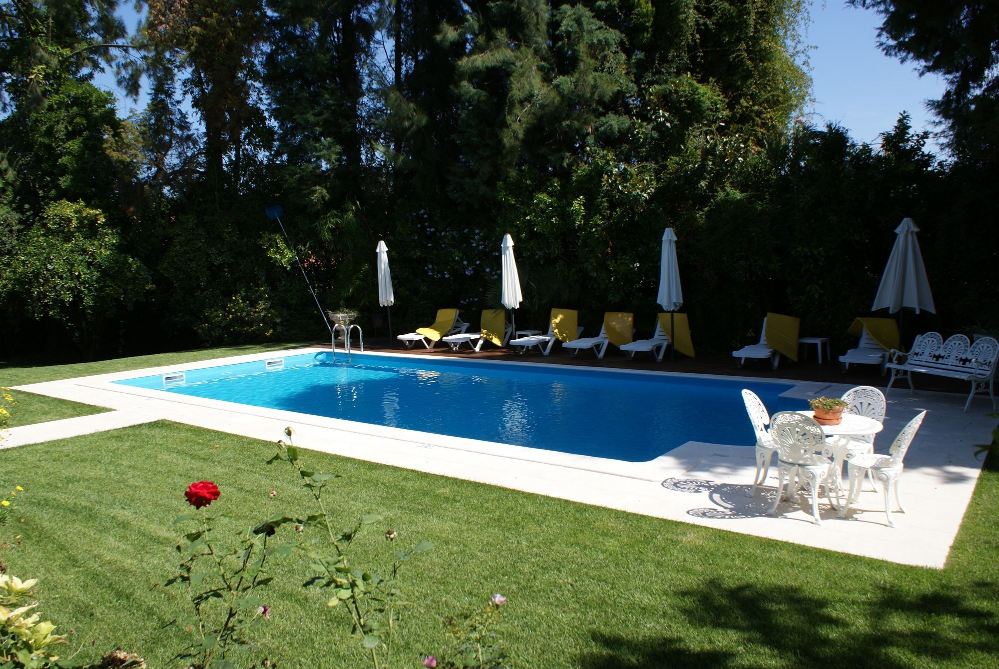 Quinta De Sao Lourenco Anadia Exterior photo